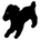 ALMA GÊMEA – Início